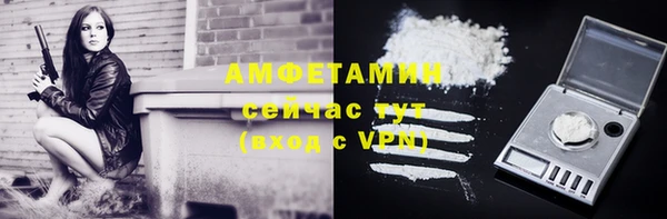 сатива Армянск