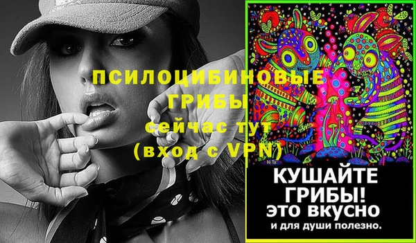 эйфоретик Арсеньев