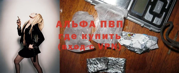 сатива Армянск